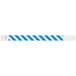 A blue and white striped Carnival King wristband.