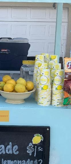 We bought this for my daughter’s lemonade stand and it was a success. People like the lemonade but they also appreciate the fact it’s served in an authentic lemonade cup. The design is great.