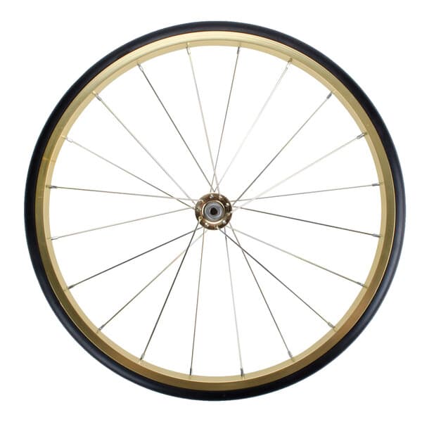 A white bicycle wheel with a black rim and black spokes.