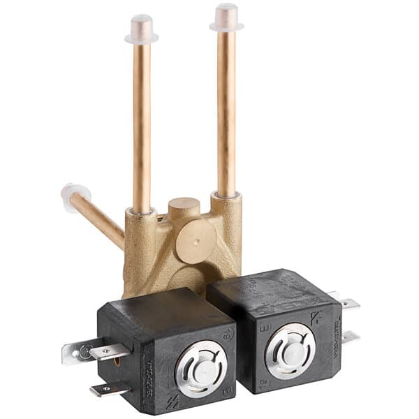 A Carnival King Electrovalve Assembly with brass valves and two wires.